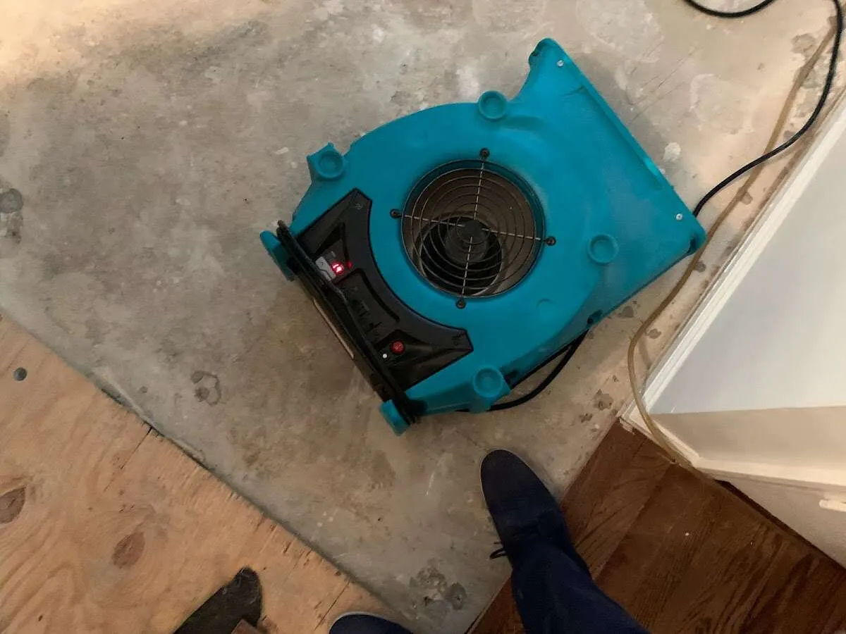 Air mover drying subfloor during Leak Detection & Repair in Philipstown